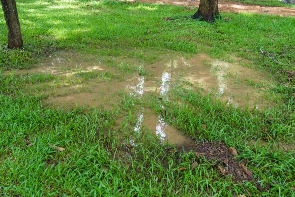 Cost of Storm Water Drainage Service in Dover