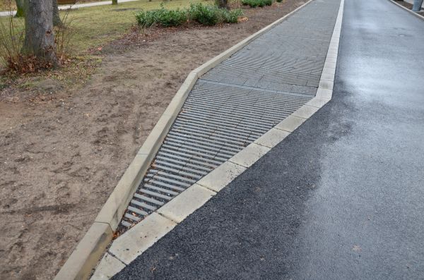 Cost of Muddy Yard Drainage in Dover
