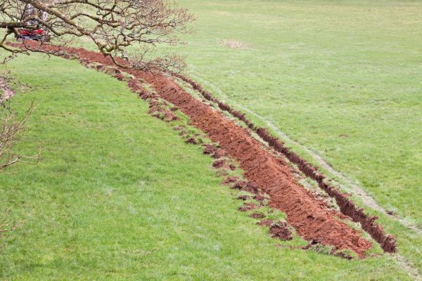 Cost of Swale Installation in Dover