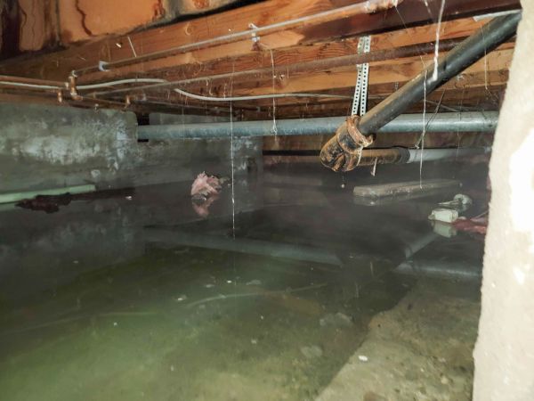 Cost of Crawlspace Drainage in Dover