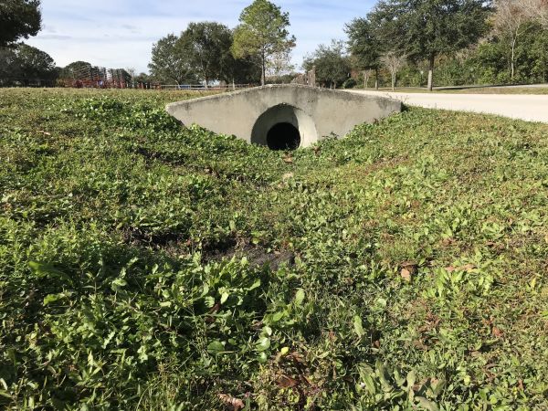 Cost of Swale Drainage Service in Dover