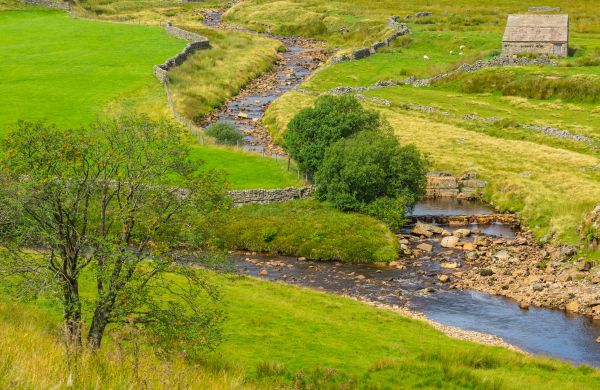 Cost of Swale Repair in Dover